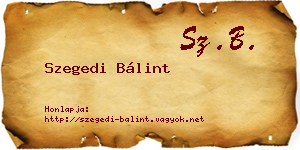 Szegedi Bálint névjegykártya